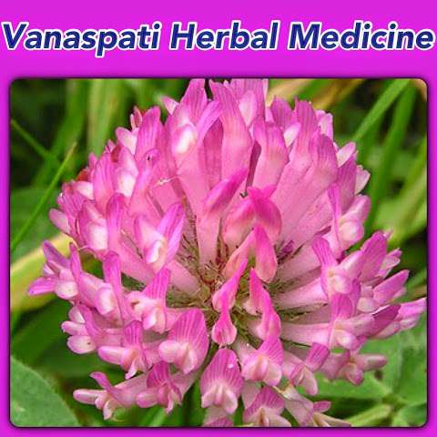 Vanaspati Herbal Medicine photo
